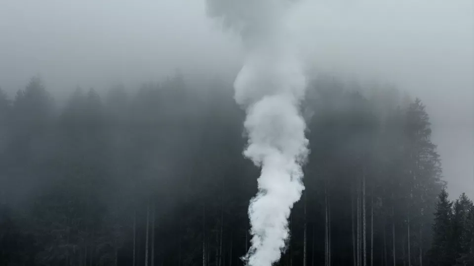 A column of smoke in a foggy forest landscape. Photo.