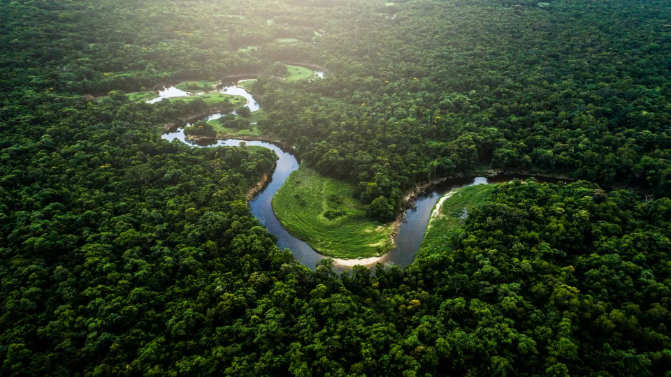 A river in blue is circling its way through the greeneries of the Amazon. Photo.