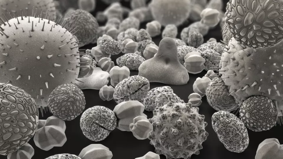 Grey balls with sticks on them and small balls with "bubbles" on them. Microscopic 3D photo.