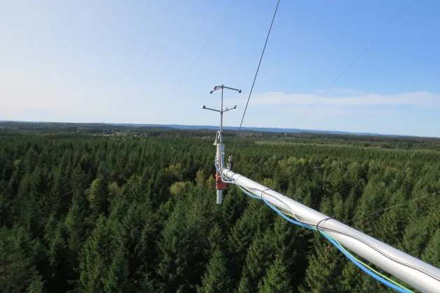Hyltemossa research station and forest. Photo.
