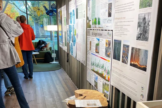 Populärvetenskapliga posters på vägg