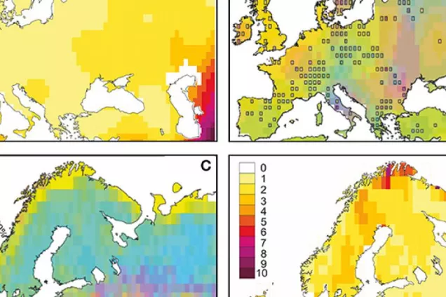 Four charts over Europe colored depending on pollen occurance. Illustration.