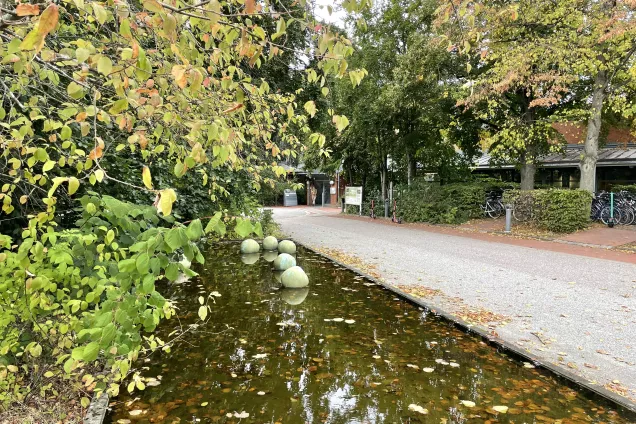 Ekologihuset i Lund där Merge huserar. Foto.