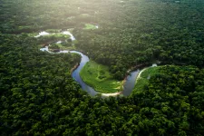 A river in blue is circling its way through the greeneries of the Amazon. Photo.