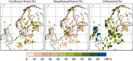 Three maps of northern Europe showing coniferous forest, broadleaved forest and unforested land.